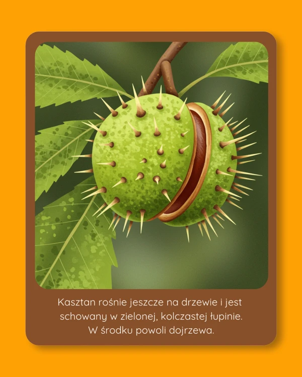 Jesienne historyjki obrazkowe 3.png