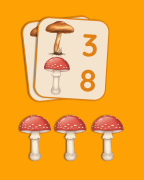 Grzybobranie 2.png