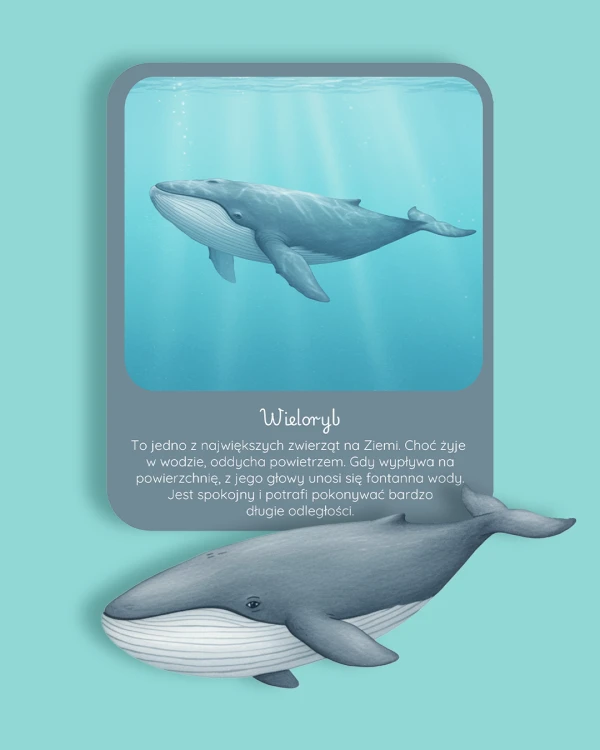 Ocean 2.png