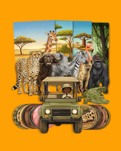 Safari 1.png