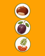 3.png