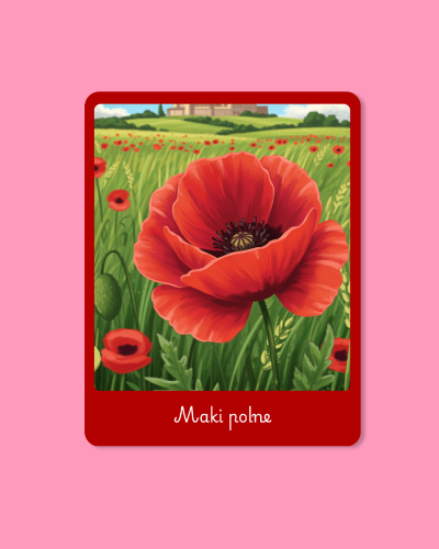 Symbole polski  3.png