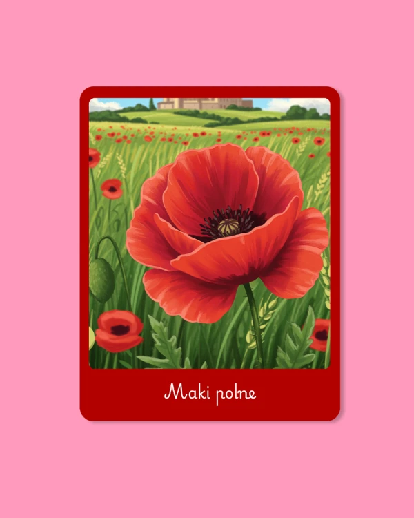 Symbole polski  3.png